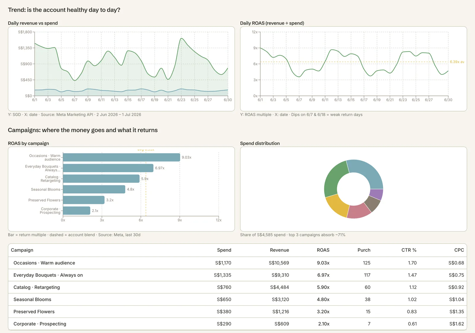 Two charts of daily revenue against spend and daily return, a bar chart of return by campaign against the account average, a donut of spend by campaign, and a campaign table with spend, revenue, return, purchases, click-through rate and cost per click. Sample data.